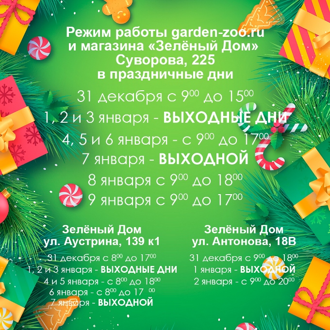 Новогодний режим работы